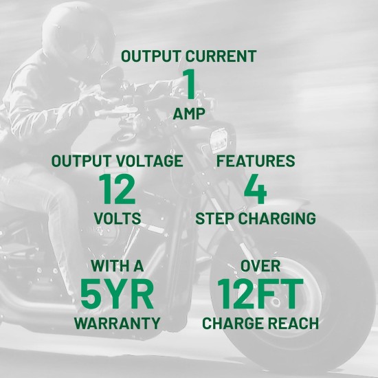 Battery Tender Junior 12 V, 800 mA Chargeur et mainteneur de batterie pour batteries au plomb et au lithium – Chargeur de batterie commutable pour sports motorisés – 022-0199-DL-WH