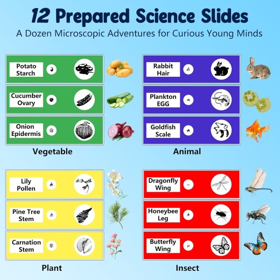 Microscope portable 1000X pour enfants, microscopes numériques pour enfants à écran 4K de 2,4